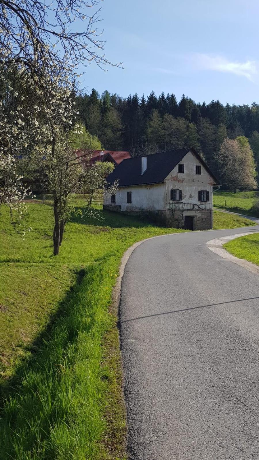 Presshaus Alte Muehle Villa Stainz Exteriör bild