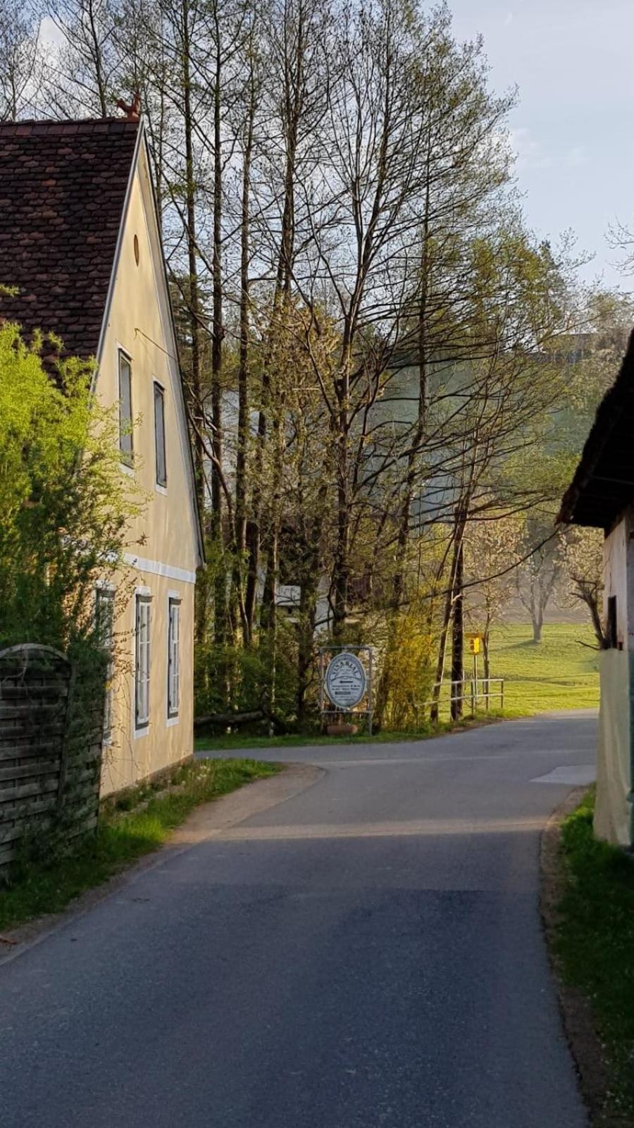 Presshaus Alte Muehle Villa Stainz Exteriör bild