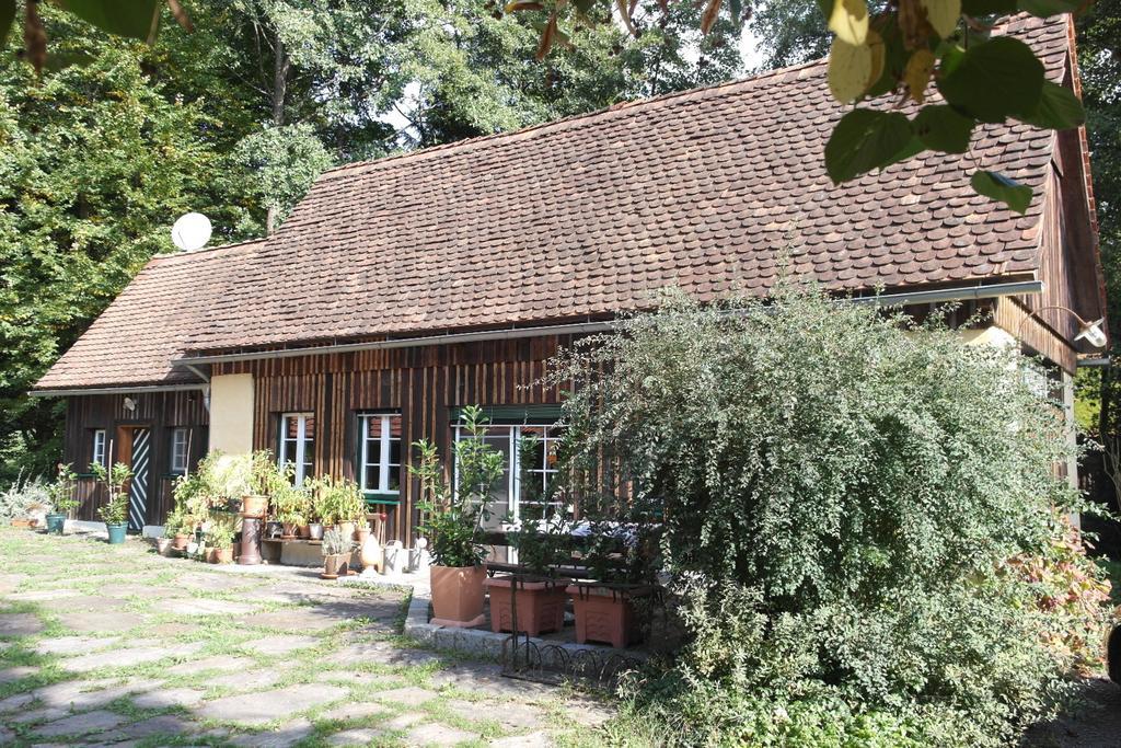 Presshaus Alte Muehle Villa Stainz Exteriör bild